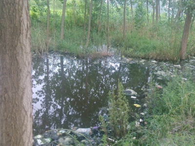 深圳水質檢測機構 深圳水質檢測機構
